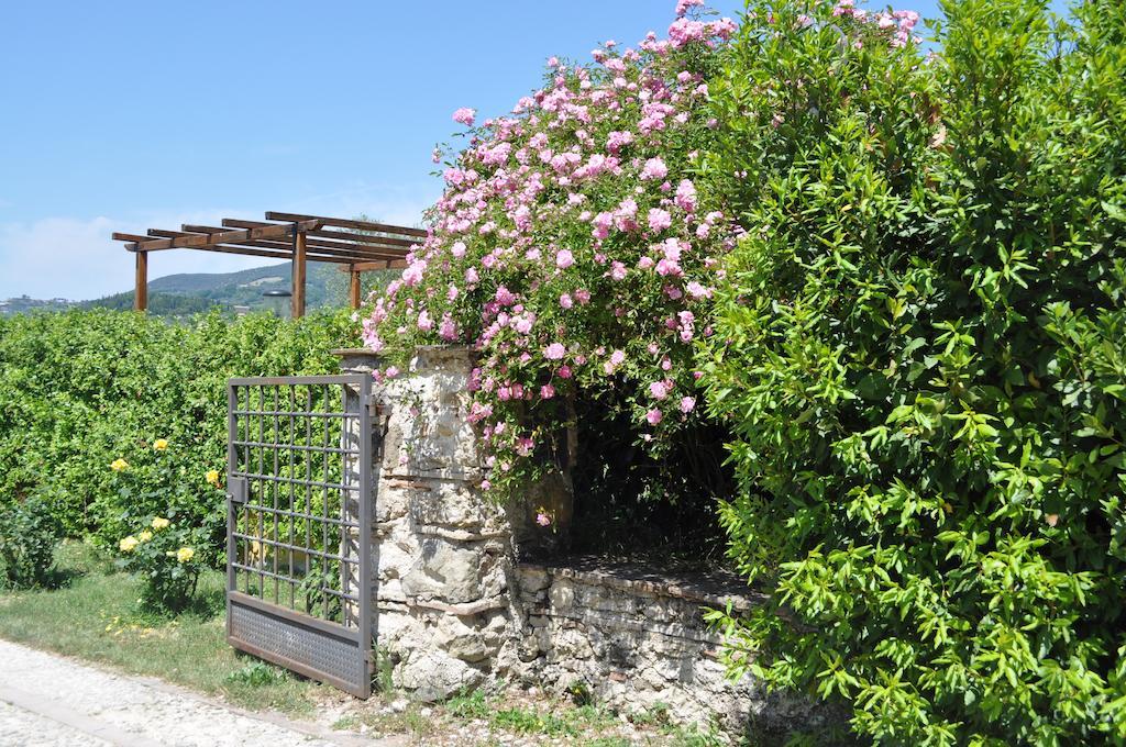 Il Gelso Nero Villa Castelnuovo di Farfa ภายนอก รูปภาพ